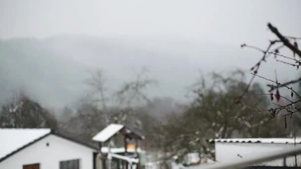 Vinter snö pojke fun — Stockvideo