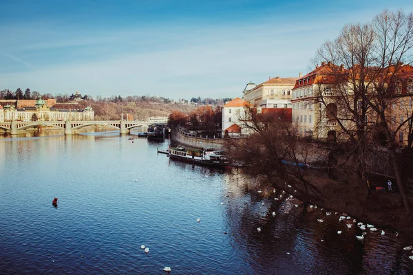 Czeski starego miasta w Pradze — Zdjęcie stockowe