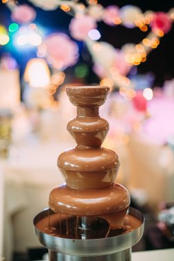 Gıda düğün olay catering