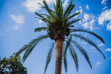 Granada İspanya alhambra şehir