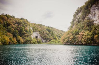 şelale doğa Hırvatistan plitvize
