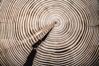 doku kesilmiş ağaç