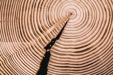 doku kesilmiş ağaç