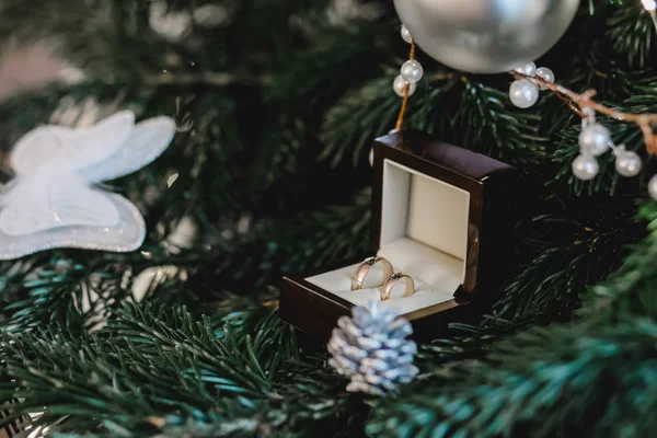 Novia y novios anillos —  Fotos de Stock