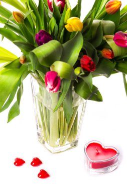 izole güzel bahar laleler