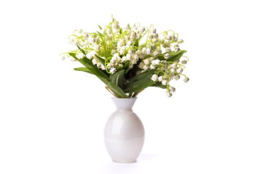 Mayflowers beyaz buket bahar