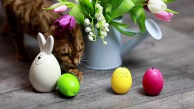 Paskalya yumurtaları arka plan üzerinde