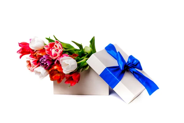 Tulipes, fleurs et cadeaux — Photo
