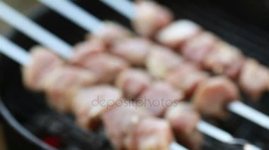 Barbekü ve Şaşlık ızgara