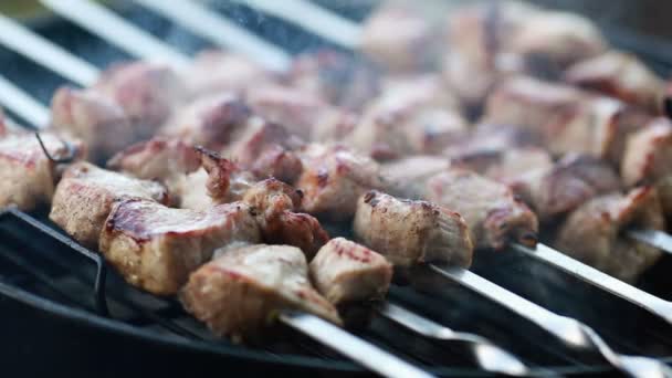 Grilling barbecue and shashlik — Stock Video