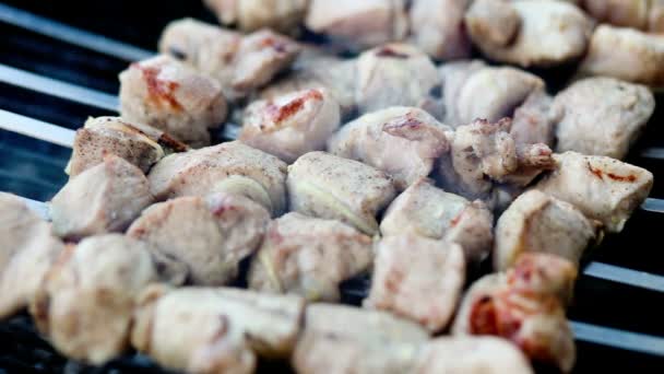Grilling barbecue and shashlik — Stock Video