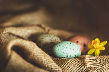 Paskalya yumurta rustik arka plan