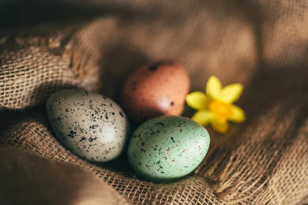 Påsk ägg rustika bakgrund — Stockfoto