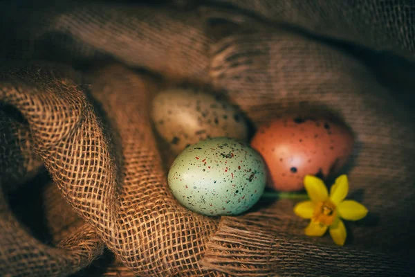 Påsk ägg rustika bakgrund — Stockfoto