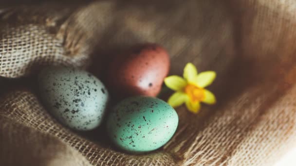 Wielkanocne jaja worze tło — Wideo stockowe