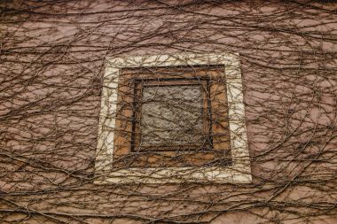 Prag şehir Çek Cumhuriyeti