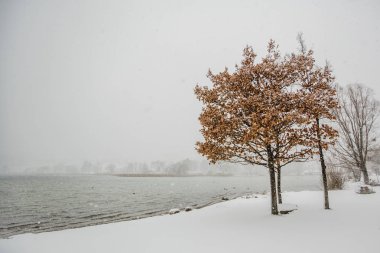 Kış tegernsee bayern alps