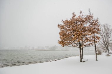 Kış tegernsee bayern alps