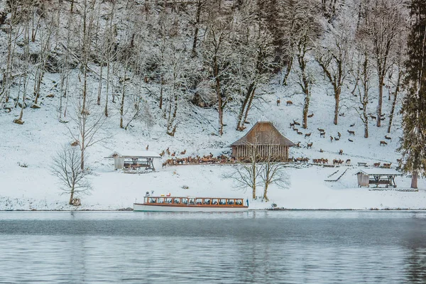 冬季 koenigssee 拜仁阿尔卑斯山 — 图库照片