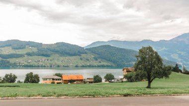 Dört kanton Gölü vierwaldstaettersee İsviçre