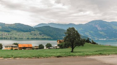 Dört kanton Gölü vierwaldstaettersee İsviçre