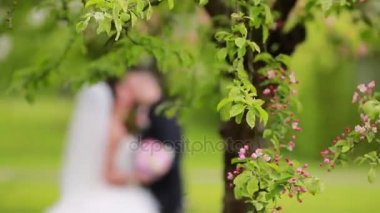 Bahar Düğün doğa parkı