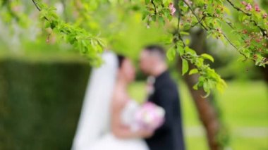 Bahar Düğün doğa parkı