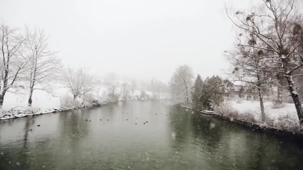 Χειμώνα χιόνι Βαυαρία Γερμανία — Αρχείο Βίντεο