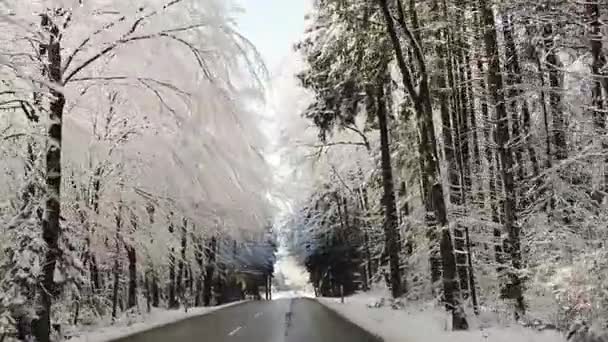 Winter Schnee Bayern Deutschland — Stockvideo
