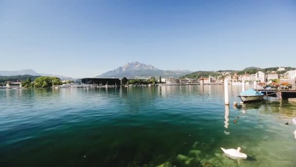 Lucerna suíça paisagem lago — Vídeo de Stock