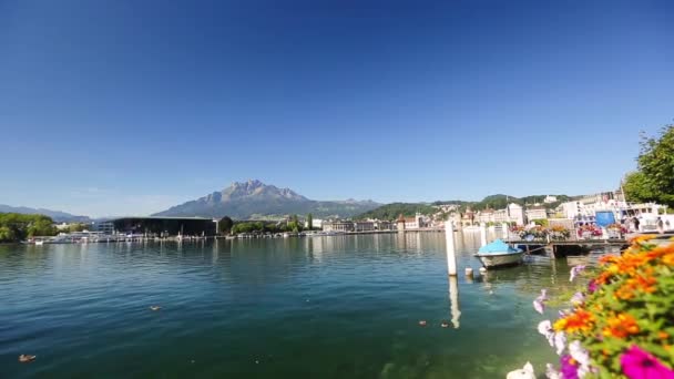 Lucerne switzerland landscape lake — Stock Video