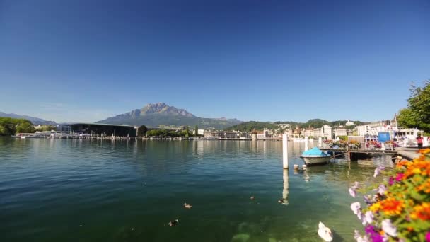 Luzern Svájc fekvő tó — Stock videók