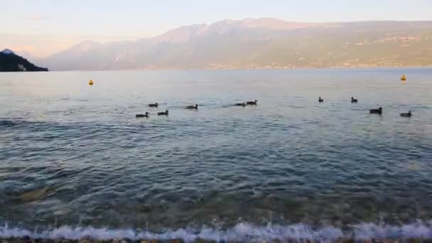 Італія lake Garda краєвид — стокове відео