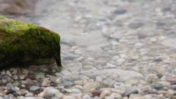 加尔达湖意大利景观 — 图库视频影像