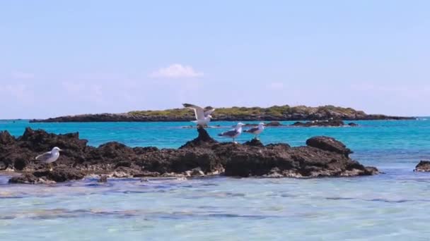 Betonstrand griechische Insel — Stockvideo