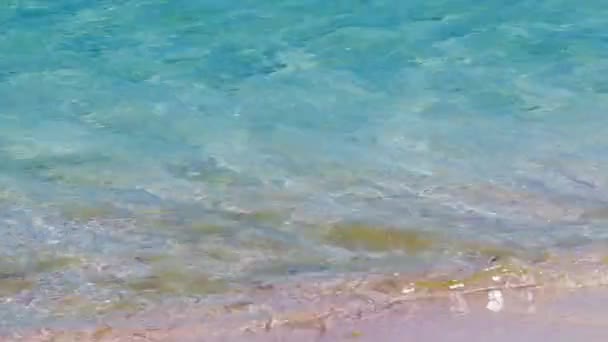 Strand Griekenland Kreta — Stockvideo