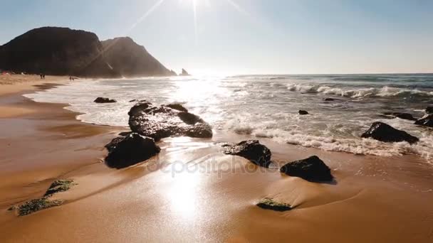 Portugal océano playa naturaleza — Vídeos de Stock