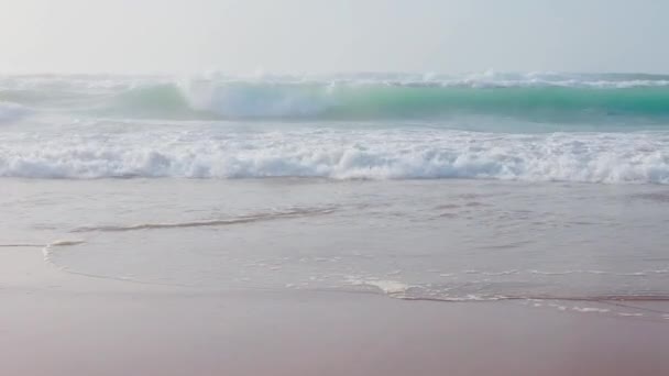 Portugal océano playa naturaleza — Vídeo de stock