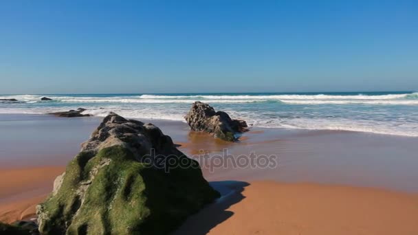 Portugal océano playa naturaleza — Vídeos de Stock