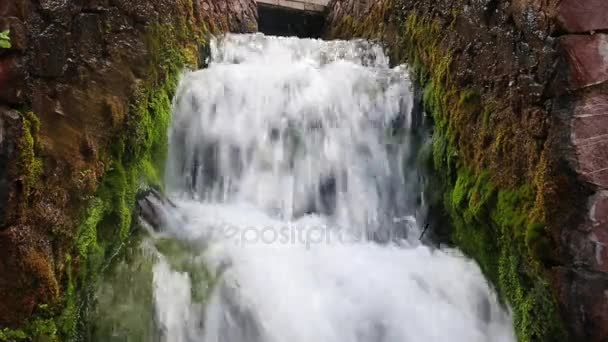 Lion fountain greek waterfall — Stock Video