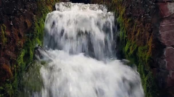 Löwenbrunnen griechischer Wasserfall — Stockvideo