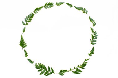 Yeşil yaprakları ile çiçek kompozisyon