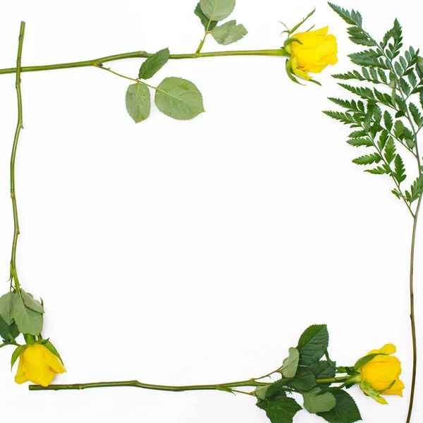 Frame of yellow roses and green leaves — Stock Photo, Image