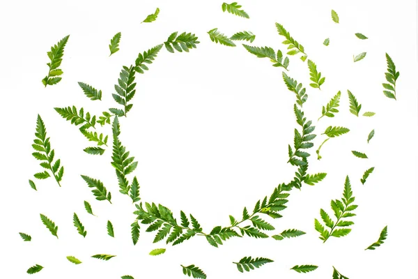 Blommig komposition med gröna blad — Stockfoto