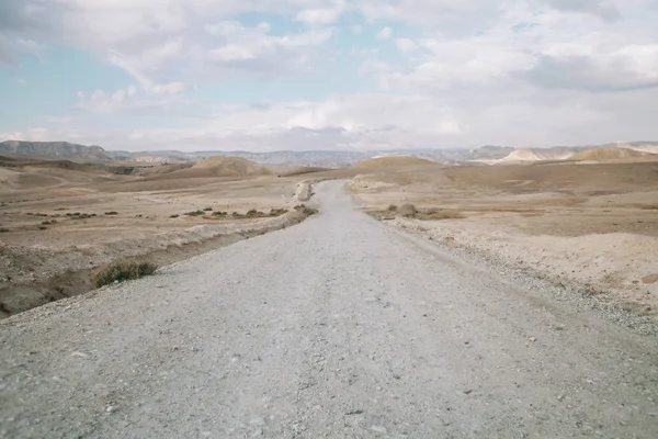 Lonely desert road