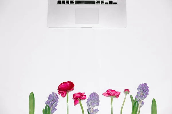 Laptop Composition Flowers White Background Flat Lay Top View Copy — Stock Photo, Image