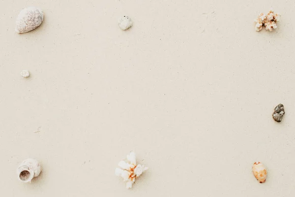 Sea Shells Corals White Soft Sand Beach Copy Space Flat — Stock Photo, Image