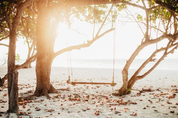 Sonnenuntergang Einem Wunderschönen Tropischen Strand Mit Palmen Und Schaukel — Stockfoto