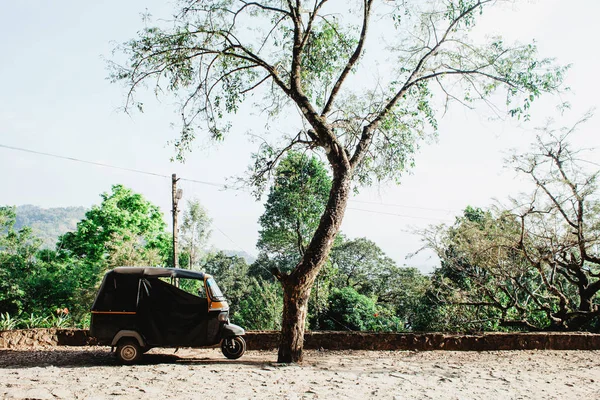 Tuk Tuk Auto Parkt Bei Grünem Baum Freien — Stockfoto