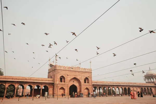 Bâtiments Anciens Delhi Les Oiseaux Volant — Photo